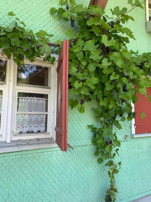Allgaeu Cottage - Traumhafter Blick In Die Schweizer Berge Weiler-Simmerberg Luaran gambar