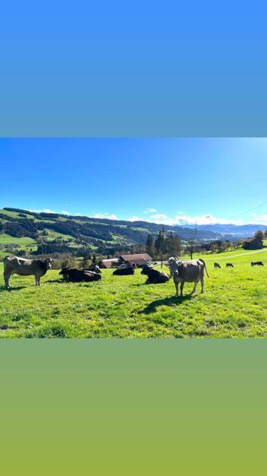 Allgaeu Cottage - Traumhafter Blick In Die Schweizer Berge Weiler-Simmerberg Luaran gambar