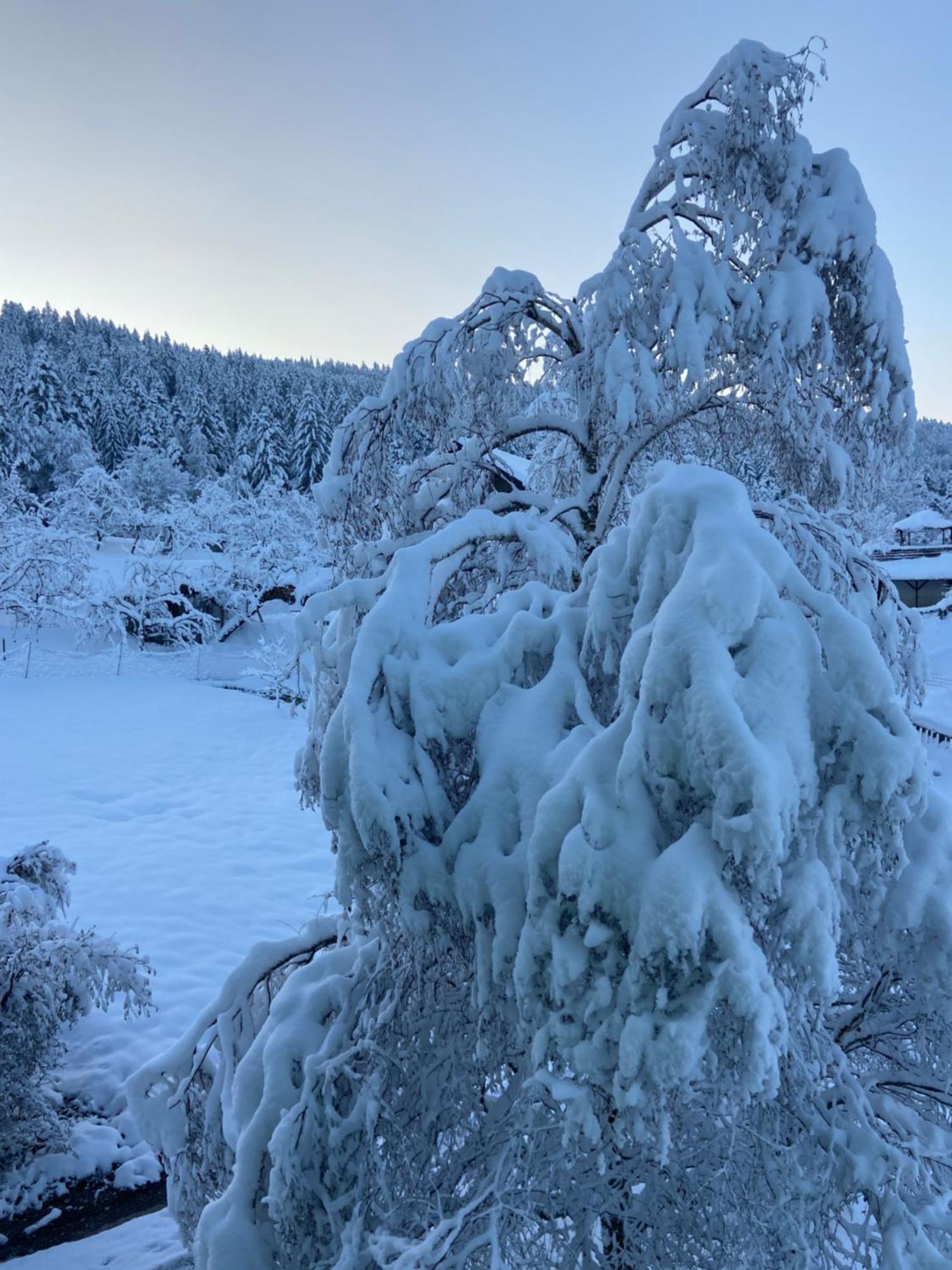 Allgaeu Cottage - Traumhafter Blick In Die Schweizer Berge Weiler-Simmerberg Luaran gambar